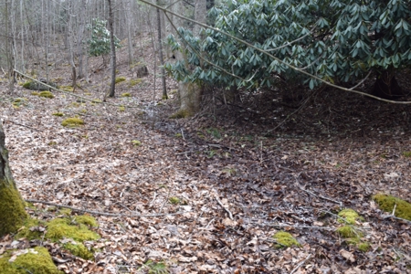 Land for Sale in Bent Mountain VA! - image 10