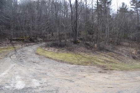 Land for Sale in Bent Mountain VA! - image 22