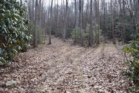Land for Sale in Bent Mountain VA! - image 12
