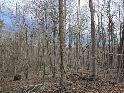 Land for Sale in Bent Mountain VA! - image 25