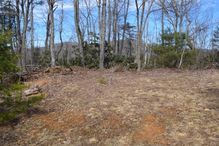 Land for Sale in Bent Mountain VA! - image 6