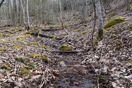 Land for Sale in Bent Mountain VA! - image 7
