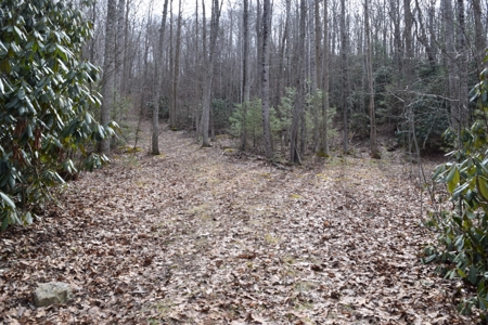 Land for Sale in Bent Mountain VA! - image 18