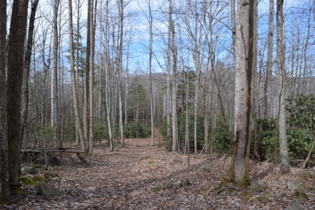Land for Sale in Bent Mountain VA! - image 1