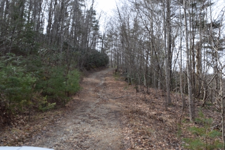 Land for Sale in Bent Mountain VA! - image 26
