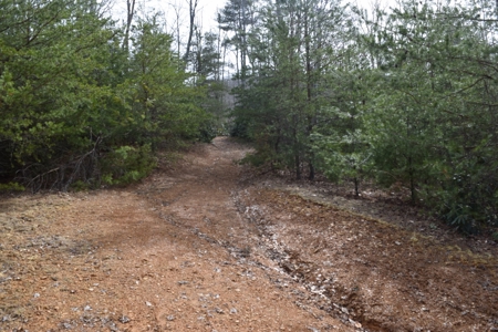 Land for Sale in Bent Mountain VA! - image 23