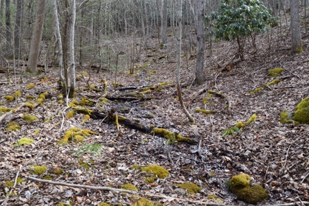 Land for Sale in Bent Mountain VA! - image 8