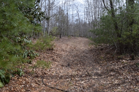 Land for Sale in Bent Mountain VA! - image 19