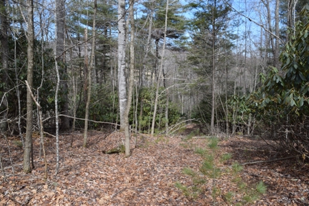 Land for Sale in Bent Mountain VA! - image 15