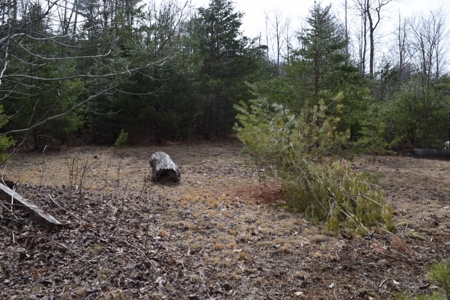 Land for Sale in Bent Mountain VA! - image 21