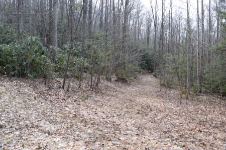 Land for Sale in Bent Mountain VA! - image 20