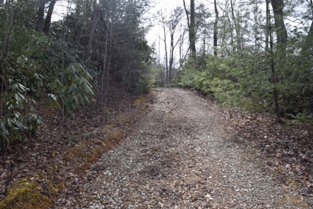 Land for Sale in Bent Mountain VA! - image 4