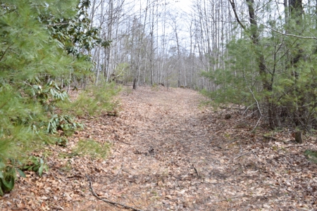 Land for Sale in Bent Mountain VA! - image 17