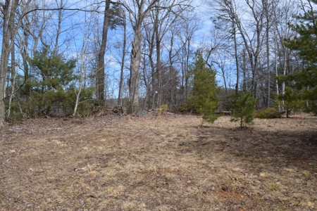Land for Sale in Bent Mountain VA! - image 5