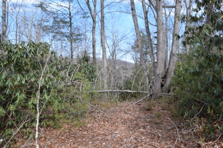 Land for Sale in Bent Mountain VA! - image 11