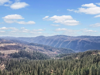 Clearwater County, ID Recreational Ranch & Log Home For Sale - image 19
