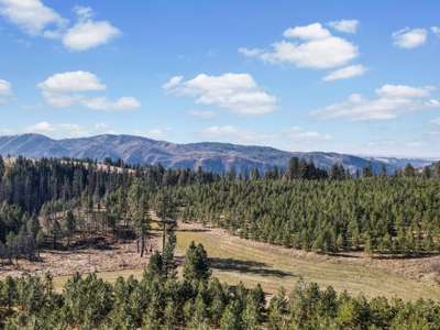 Clearwater County, ID Recreational Ranch & Log Home For Sale - image 31