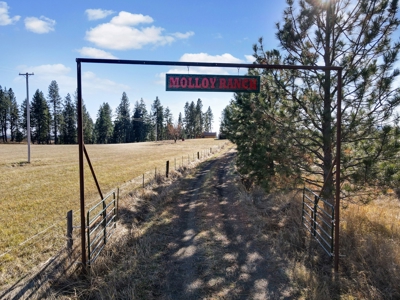 Clearwater County, ID Recreational Ranch & Log Home For Sale - image 17