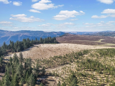 Clearwater County, ID Recreational Ranch & Log Home For Sale - image 29