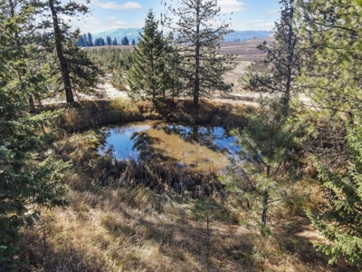 Clearwater County, ID Recreational Ranch & Log Home For Sale - image 25