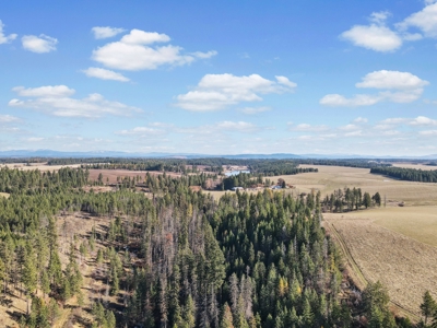 Clearwater County, ID Recreational Ranch & Log Home For Sale - image 21