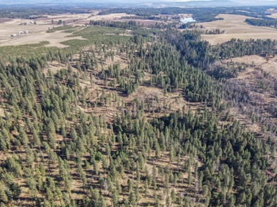 Clearwater County, ID Recreational Ranch & Log Home For Sale - image 26