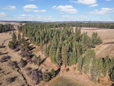 Clearwater County, ID Recreational Ranch & Log Home For Sale - image 30