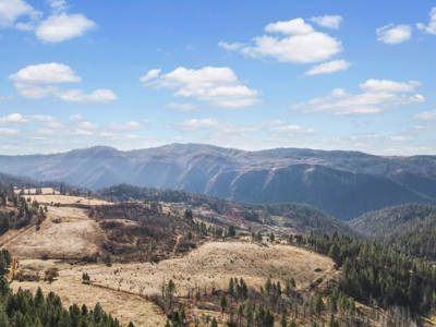 Clearwater County, ID Recreational Ranch & Log Home For Sale - image 18