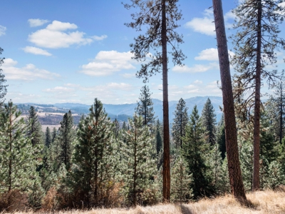 Clearwater County, ID Recreational Ranch & Log Home For Sale - image 22