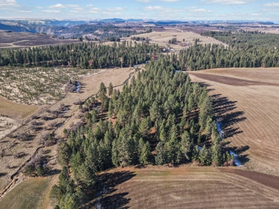 Clearwater County, ID Recreational Ranch & Log Home For Sale - image 27