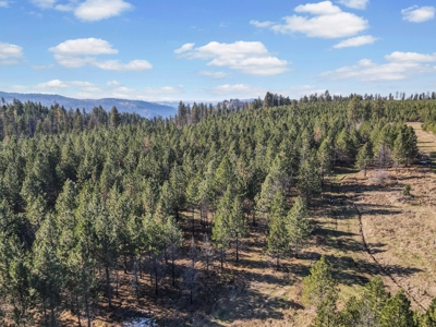 Clearwater County, ID Recreational Ranch & Log Home For Sale - image 33