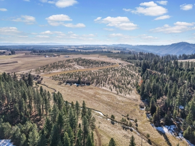 Clearwater County, ID Recreational Ranch & Log Home For Sale - image 35