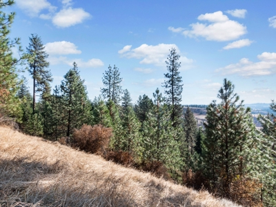 Clearwater County, ID Recreational Ranch & Log Home For Sale - image 23