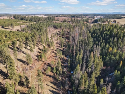 Clearwater County, ID Recreational Ranch & Log Home For Sale - image 28