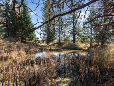 Clearwater County, ID Recreational Ranch & Log Home For Sale - image 24