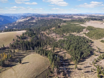 Clearwater County, ID Recreational Ranch & Log Home For Sale - image 20