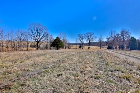 Country Home on 10 Acres in the Ozarks - image 3