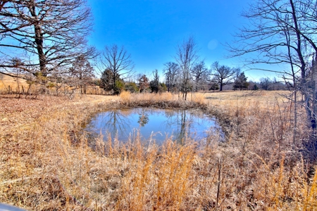 Country Home on 10 Acres in the Ozarks - image 22