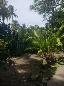 Coastal Duplex, Freshly Remodeled, Bocas del Toro, Panama - image 24