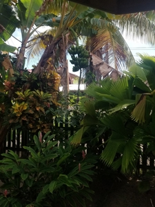 Coastal Duplex, Freshly Remodeled, Bocas del Toro, Panama - image 3
