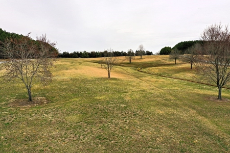 Lakefront Estate On Kerr Lake, VA - image 9