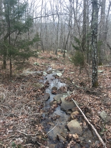 Arkansas Hunting Property For Sale Searcy County - image 6