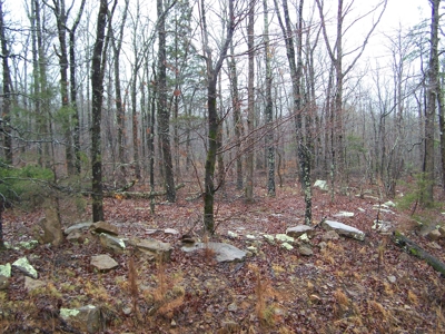 Arkansas Hunting Property For Sale Searcy County - image 10