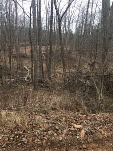 Arkansas Hunting Property For Sale Searcy County - image 5