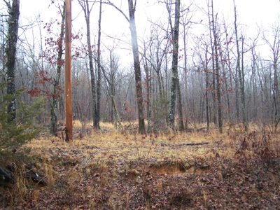 Arkansas Hunting Property For Sale Searcy County - image 9