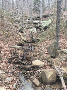 Arkansas Hunting Property For Sale Searcy County - image 7
