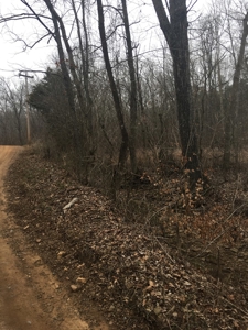 Arkansas Hunting Property For Sale Searcy County - image 3