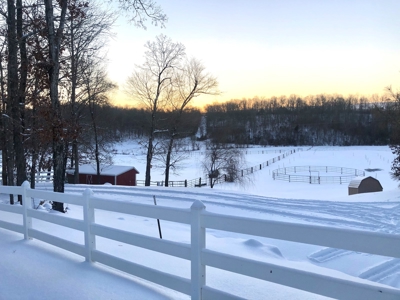 Home, Live Water, Land, Horse, for sale in Missouri Ozarks - image 11