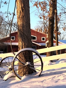 Home, Live Water, Land, Horse, for sale in Missouri Ozarks - image 12