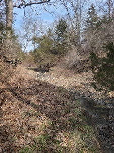 Online Only Land Auction in Sullivan County, MO - image 3
